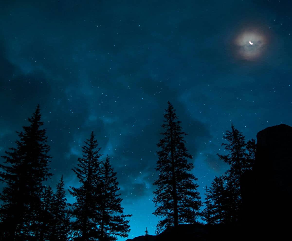 stars and crescent moon with trees