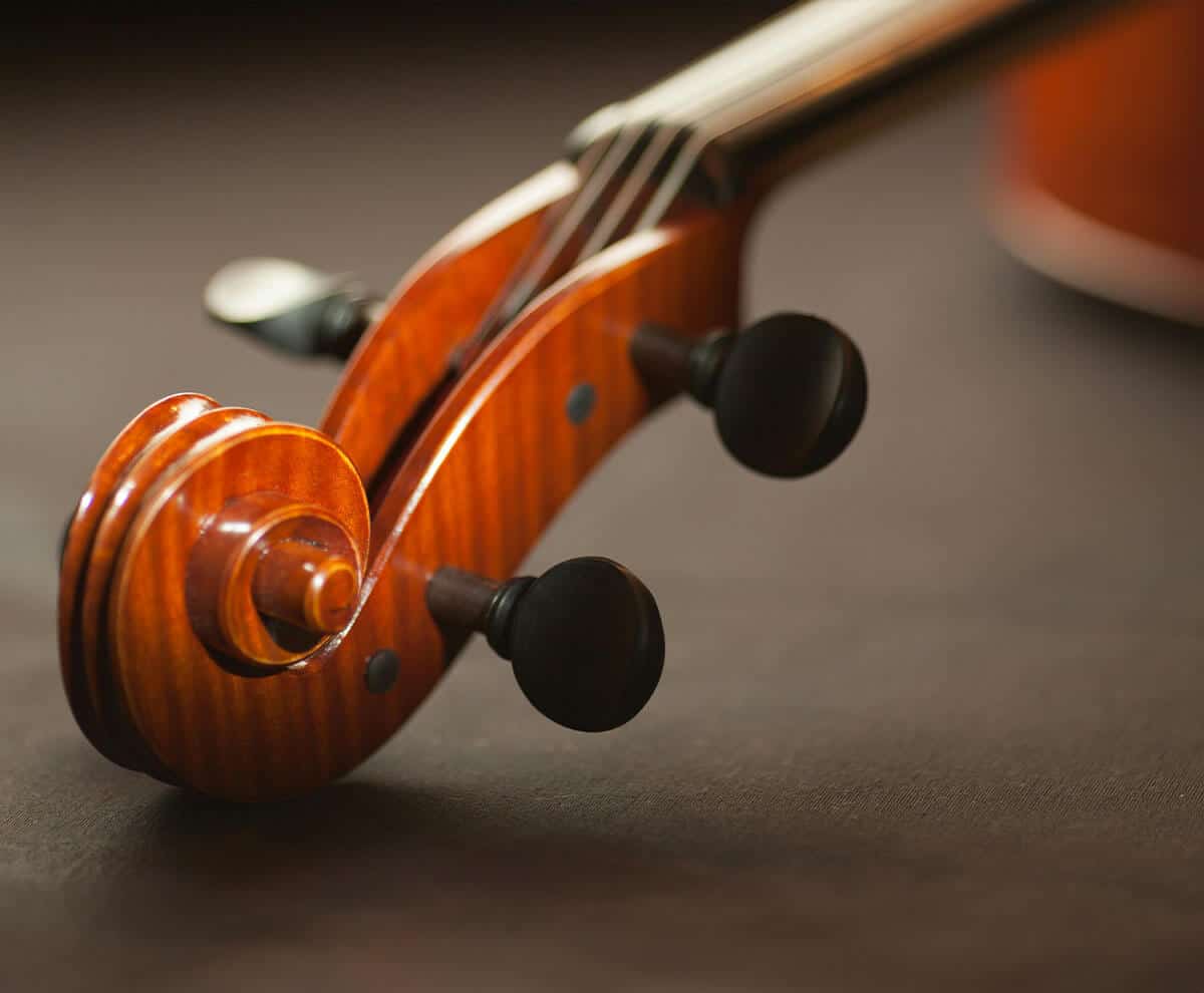 violin scroll